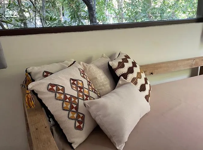 Roc Jungle Hotel