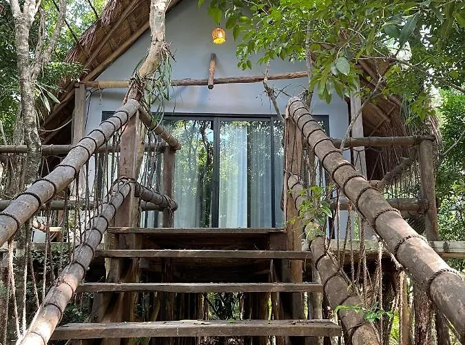 Roc Jungle