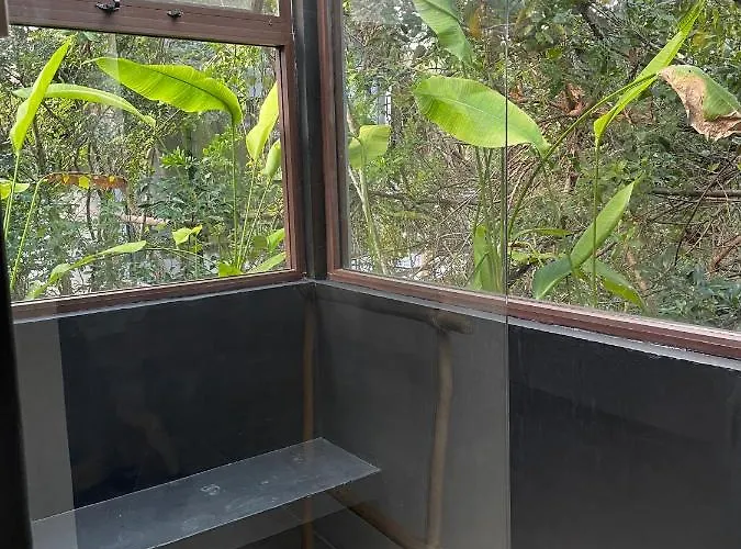 Roc Jungle Hotel Tulum