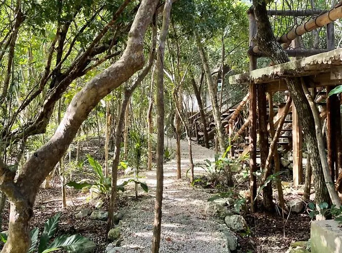 Roc Jungle 4* Tulum