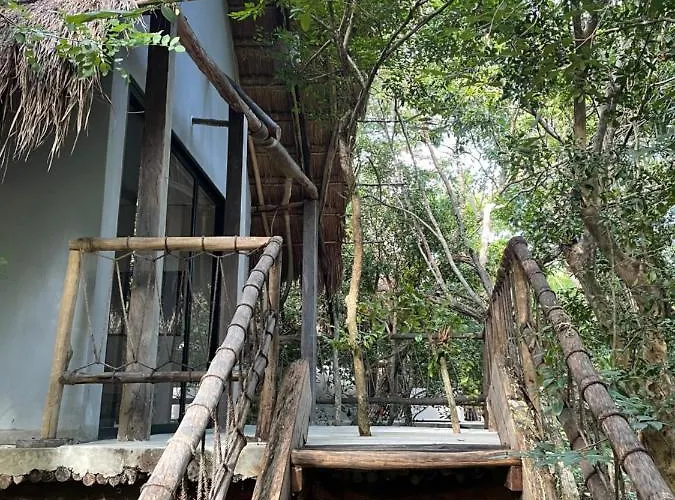 Roc Jungle Hotel Tulum