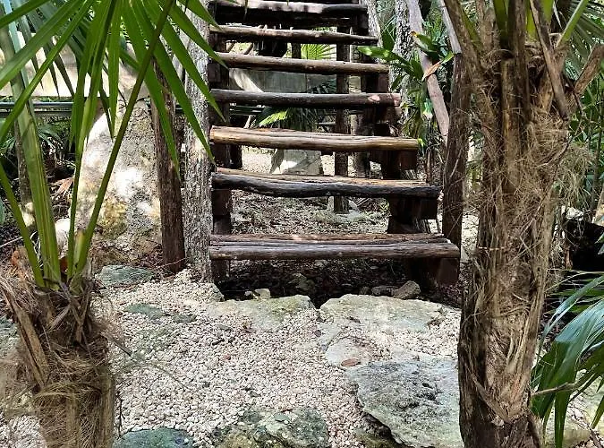 Roc Jungle Tulum