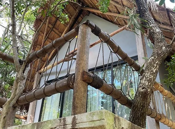 Roc Jungle