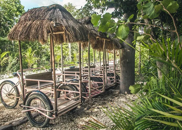 Hotel Roc Jungle Tulum