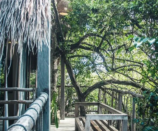 Roc Jungle Hotel Tulum