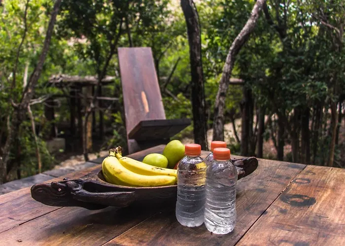 Roc Jungle Hotel