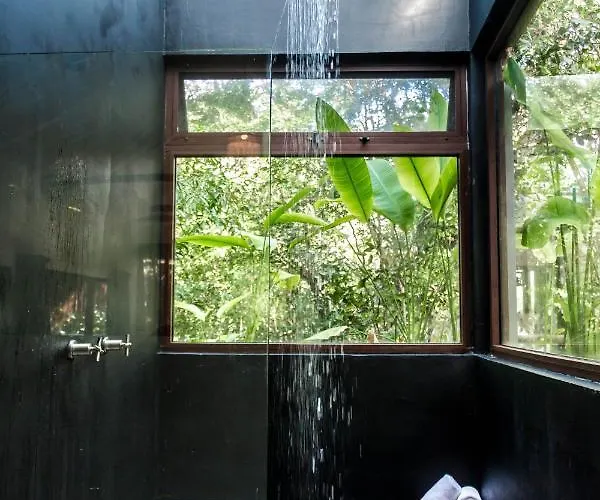 Roc Jungle Hotel 4*