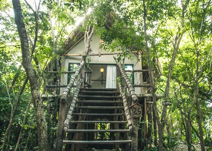 Hotel Roc Jungle 4*