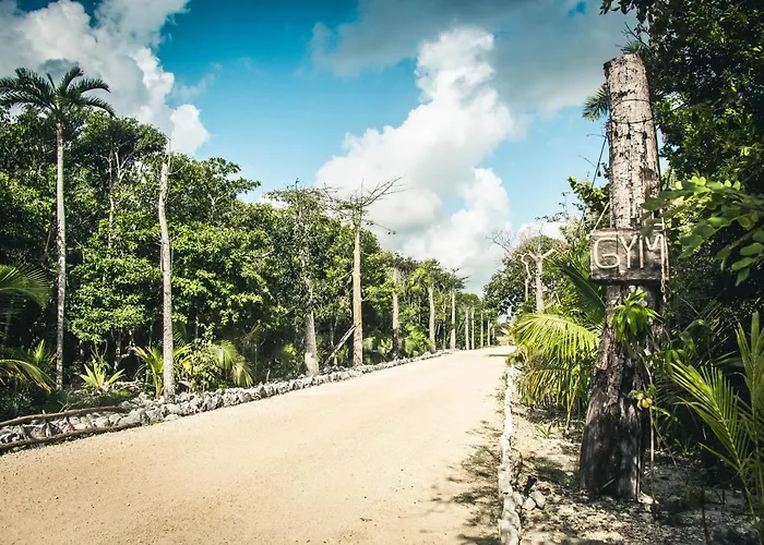 Roc Jungle 4* Tulum