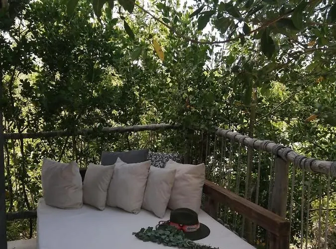 Hotel Roc Jungle 4*
